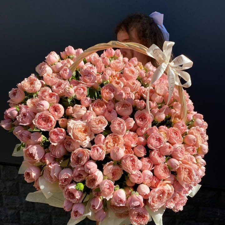 Basket of Peony Roses in Rio de Janeiro