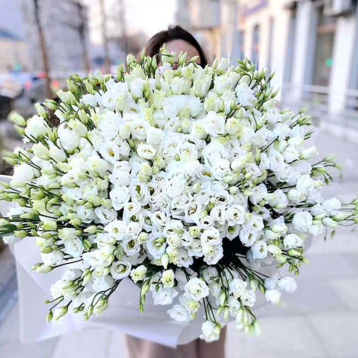 101 White Eustoma in Sao Paulo