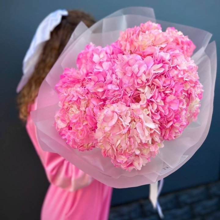 7 Bright Pink Hydrangeas in London