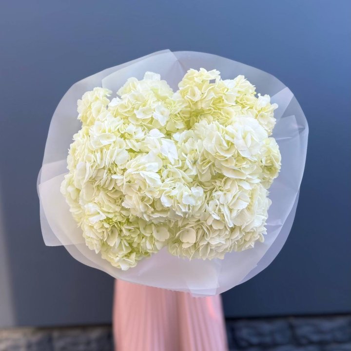 7 White Hydrangeas in London