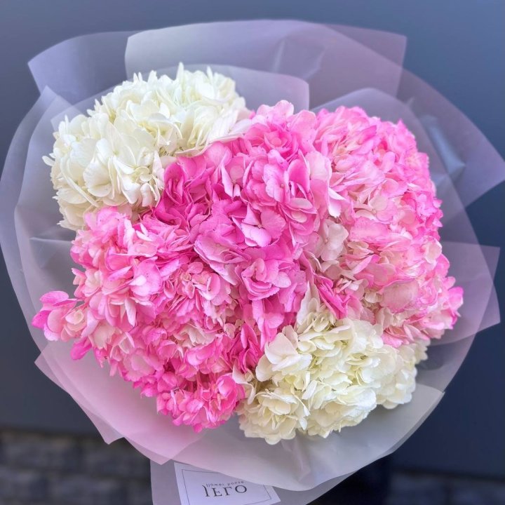 5 White and Pink Hydrangeas in London
