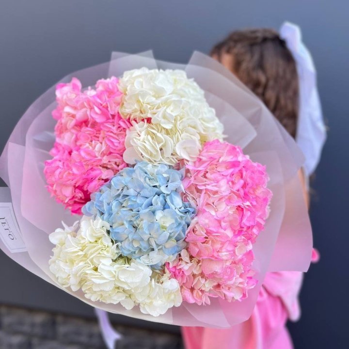 7 Mixed Hydrangeas in London