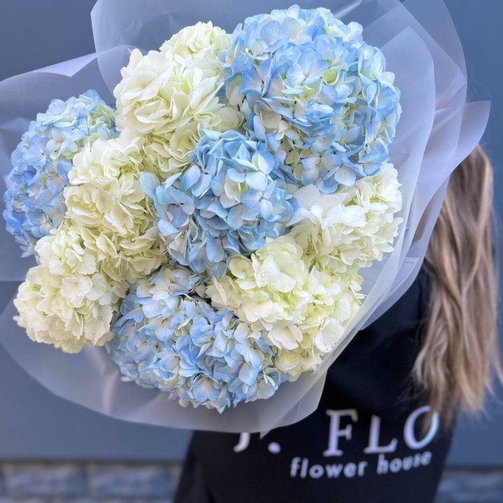 9 White and Blue Hydrangeas in Okurcalar