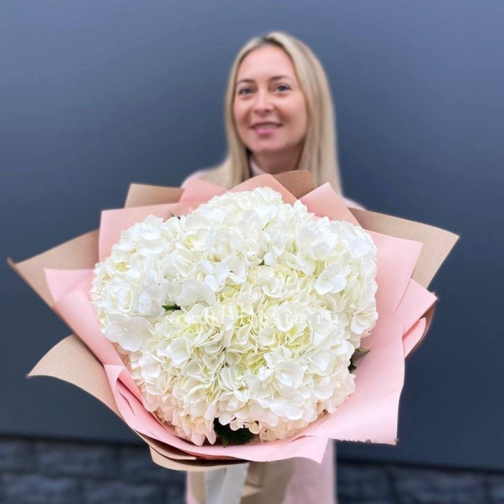 White Hydrangea in London