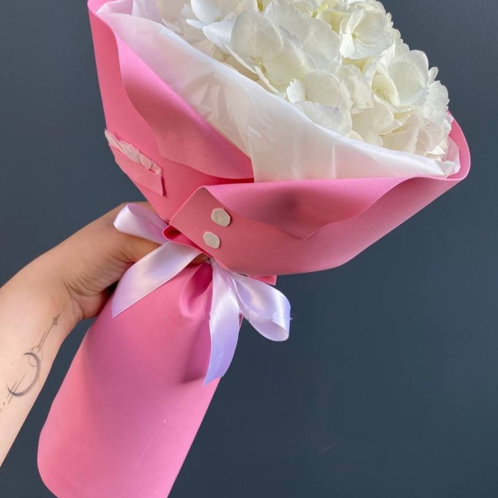 Hydrangea in a Pink Jacket in Dubai