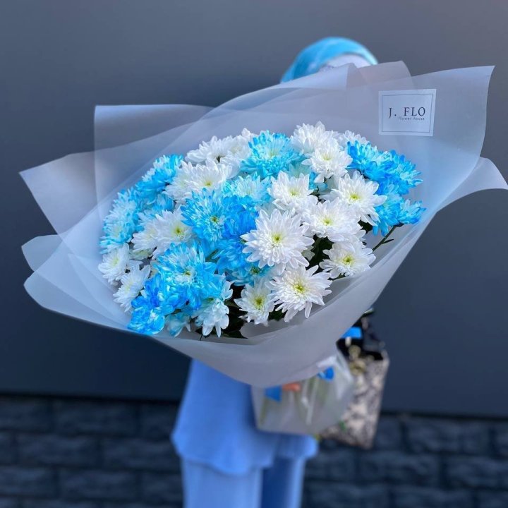 Chrysanthemum Bouquet "Blue Snowflake" in Manchester