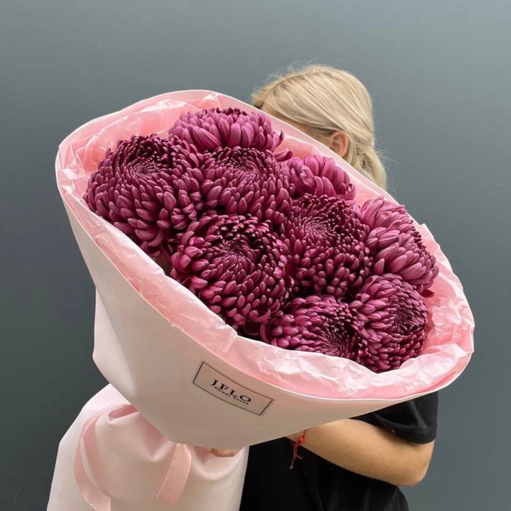 9 Chrysanthemum Curling Bunnies in Manchester