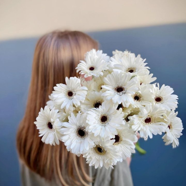Bunch of Gerberas in Dubai