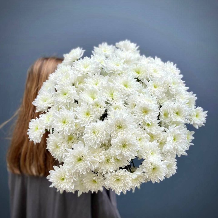 Bunch of Spray Chrysanthemum in Manchester