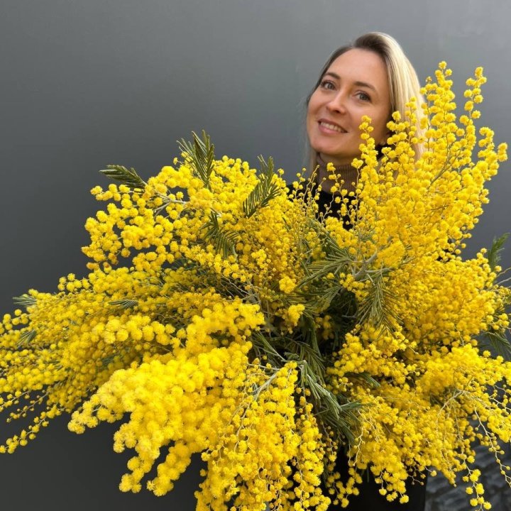 Bunch of Mimosa #2 in Astana