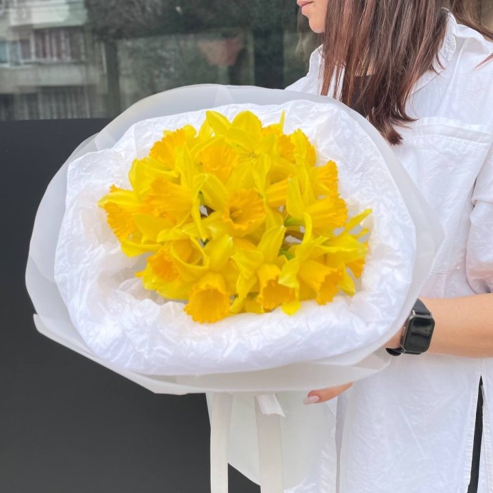 25 Daffodils in Dubai
