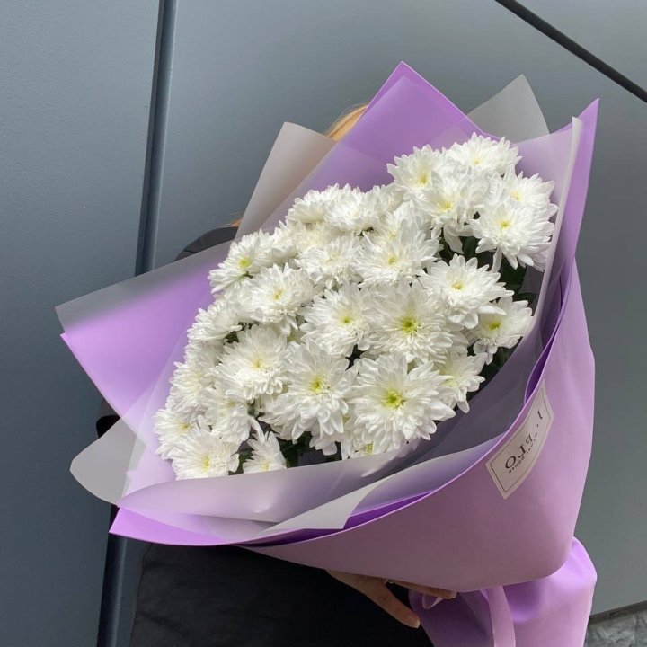 7 Chrysanthemums in Manchester