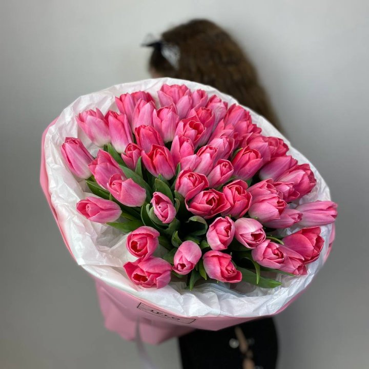 51 Pink Tulip 