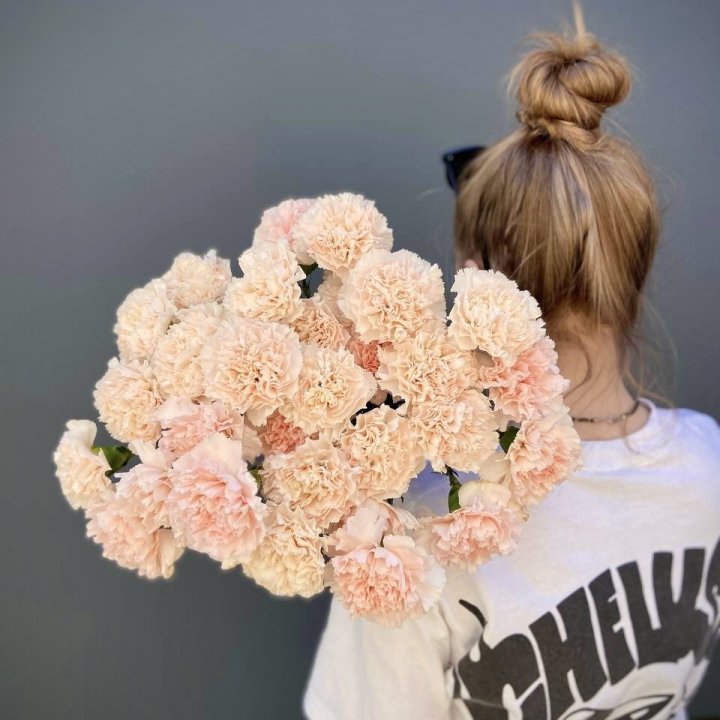 Bunch of Dianthus in Copenhagen