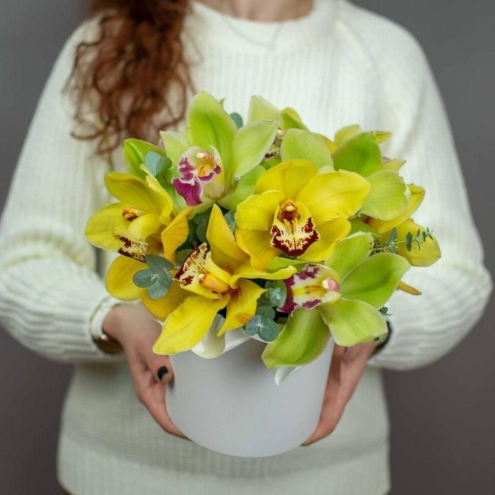 Orchid Box No. 1 in Melbourne