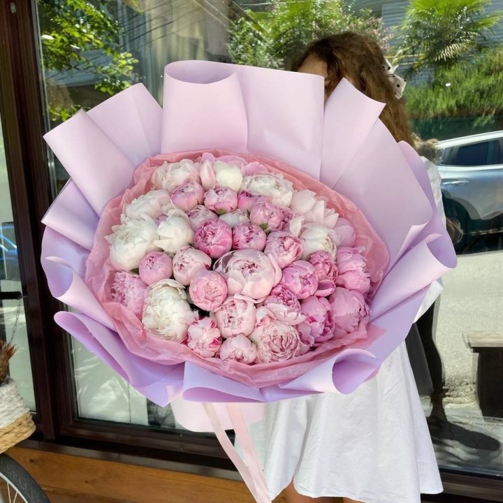 51 Pink Peonies in Rotterdam
