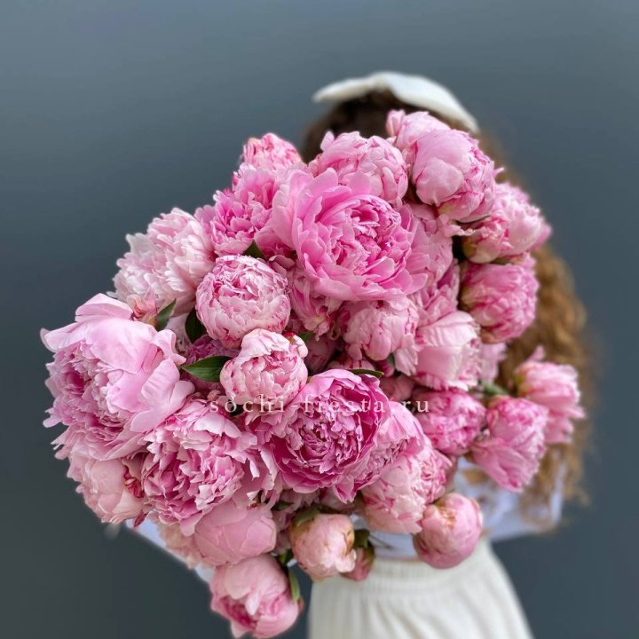 Bunch of 35 Peonies in Yerevan