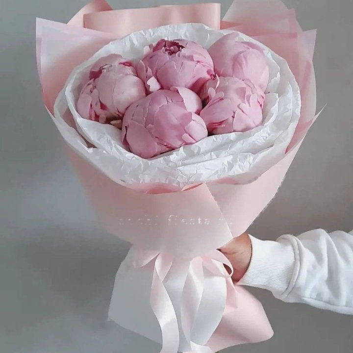 5 Peonies in Airy Wrapping in Rotterdam