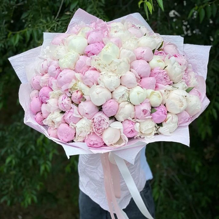 101 Peonies in Batumi