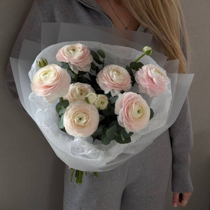 7 Delicate Ranunculus in Antwerp