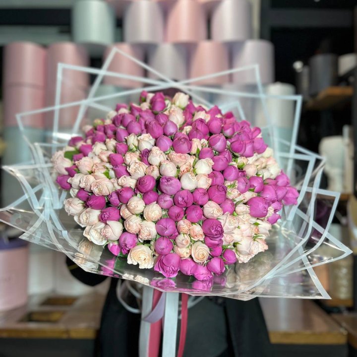 101 Peony-Style Bush Roses in Rotterdam