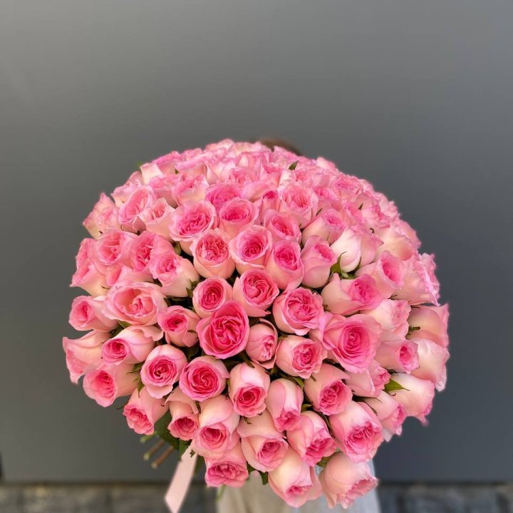 101 Pink Roses in Vancouver