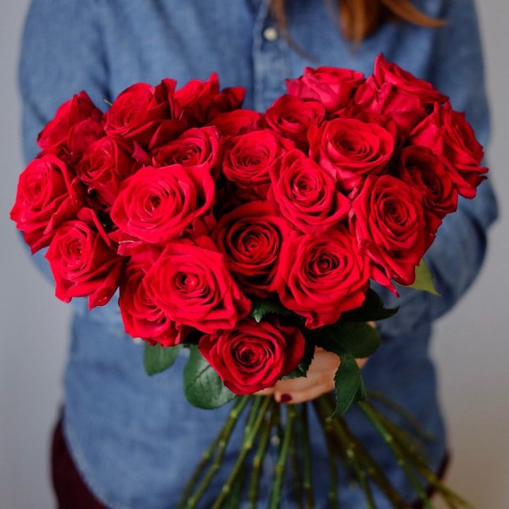 25 Red Roses in Antwerp