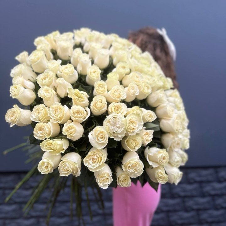 101 Tall Imported White Roses Wrapped in Ribbon in Geneva