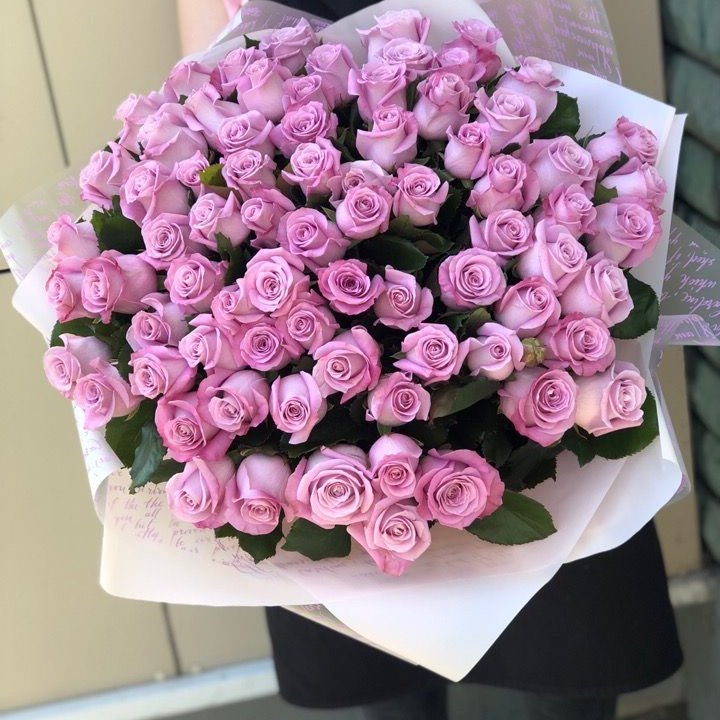 71 Pink Roses 