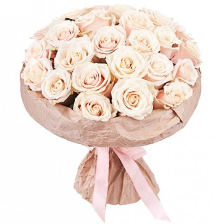 25 Cream Roses 