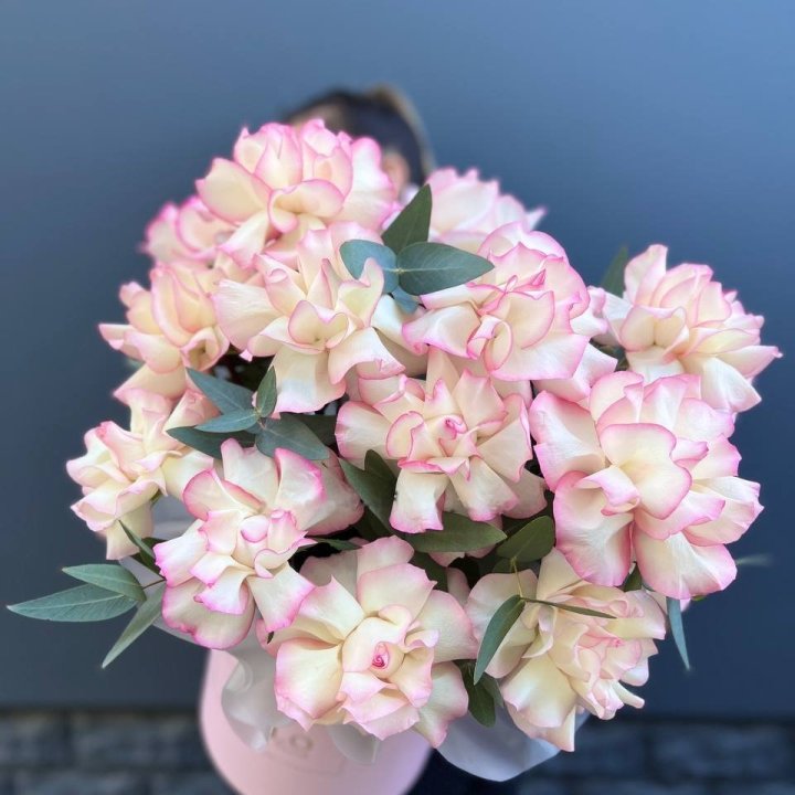 15 Jumilia French Roses in a Box in Antwerp