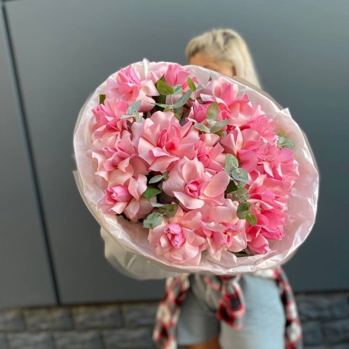 17 Pink Roses in Geneva