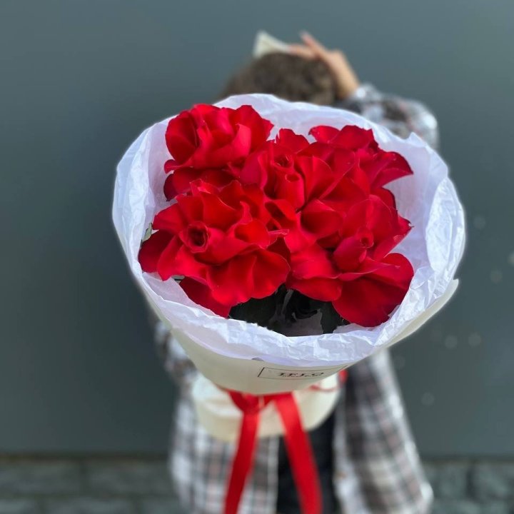 5 French Red Roses in Dubai
