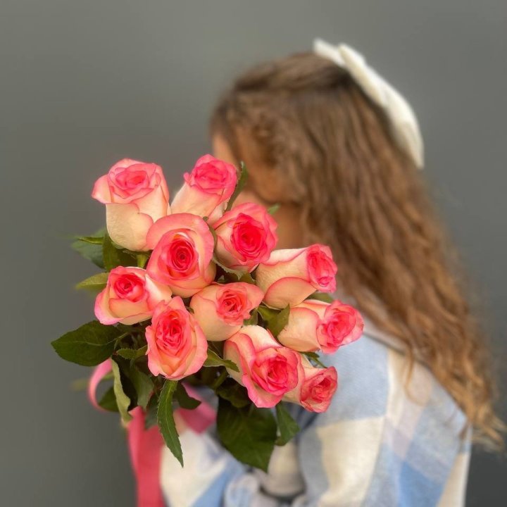 11 Jumilia Roses in Singapore