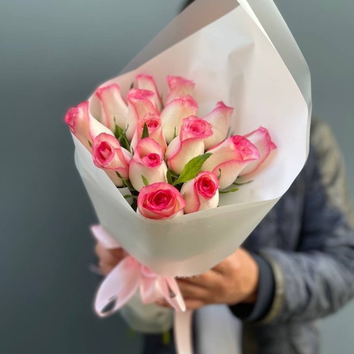 15 Jumilia Roses in Dubai