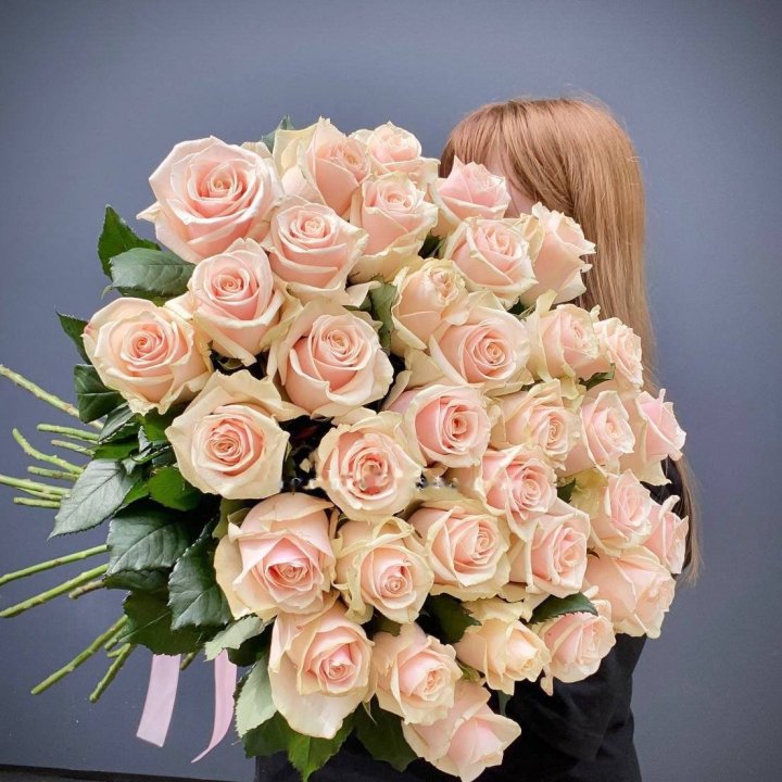 35 Tall Cream Roses in Dubai