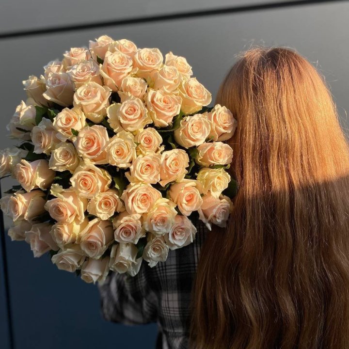 Armful of Cream Roses in Dubai