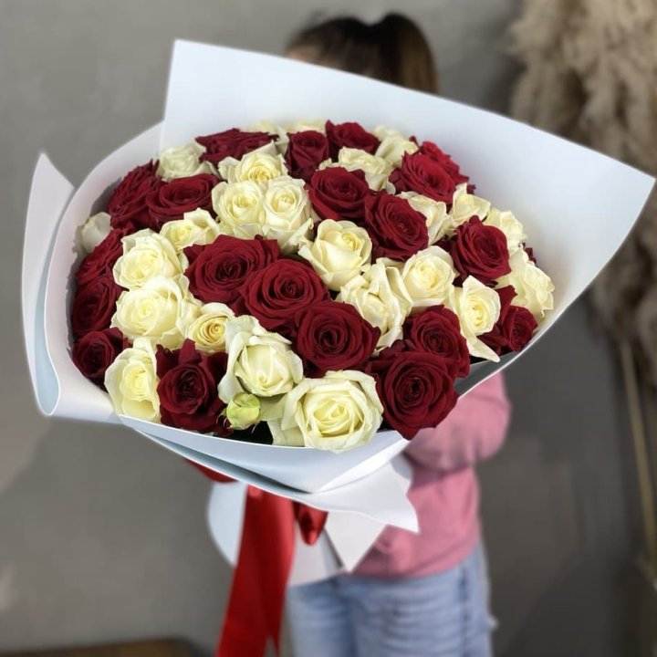 51 Red and White Roses in Antwerp