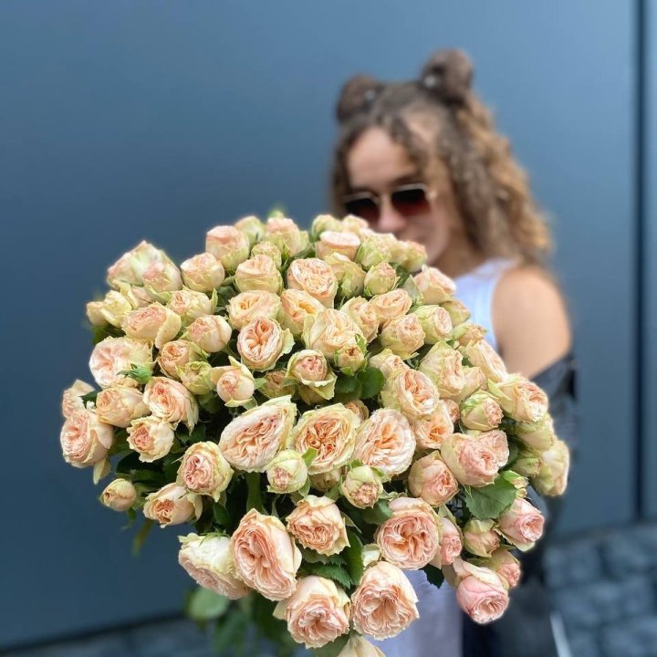 25 Peony Roses in Fethiye