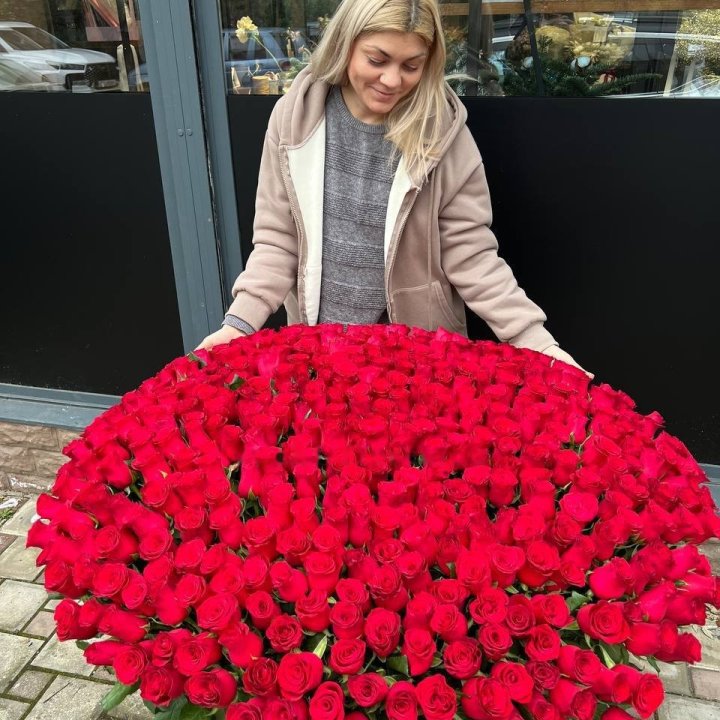 501 Red Roses in a Basket in Copenhagen