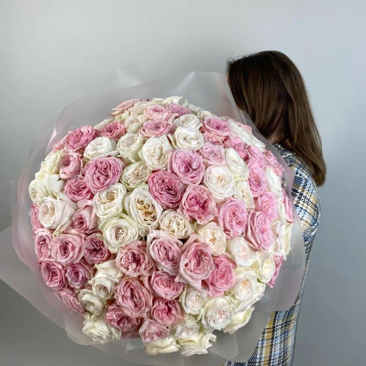 101 O'Hara Roses in Fethiye