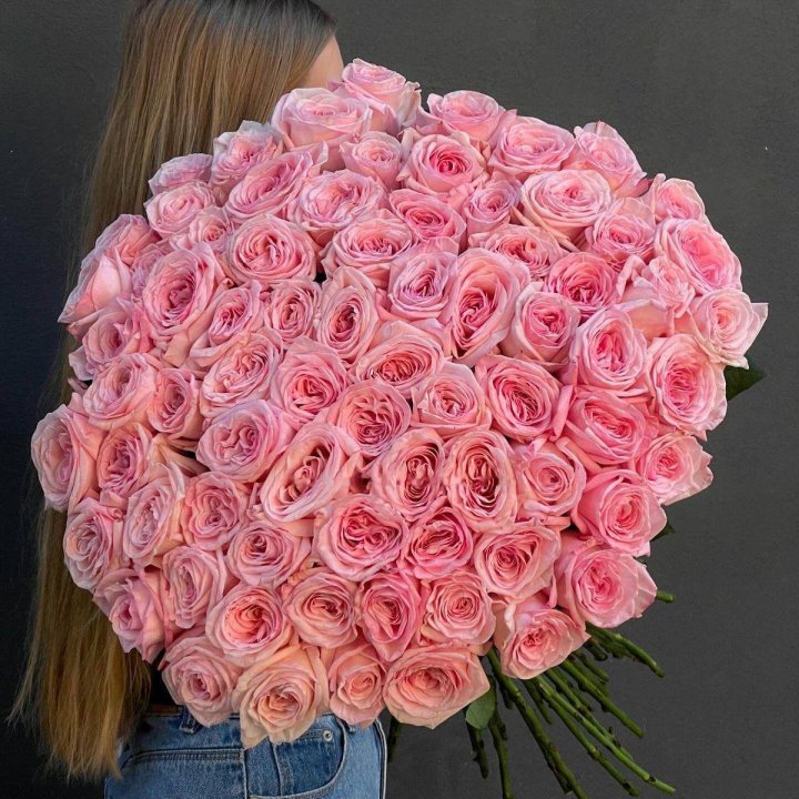 75 O'Hara Roses in Fethiye
