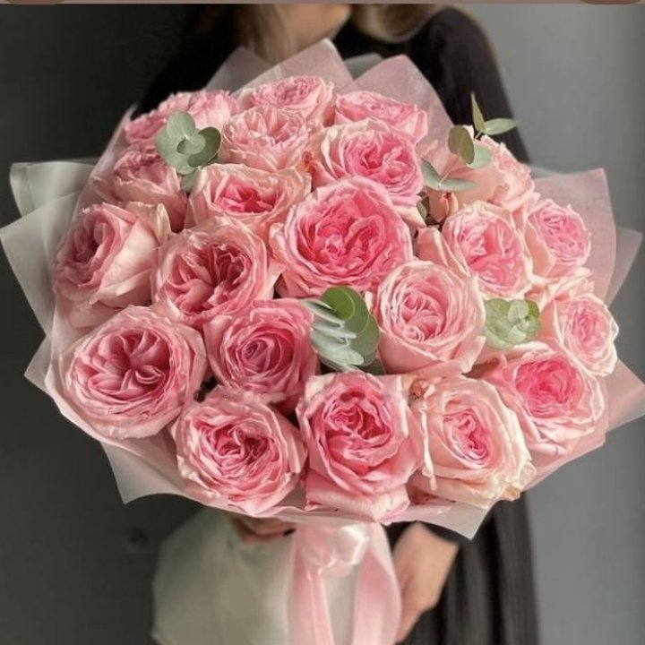 21 O'Hara Roses in Dubai