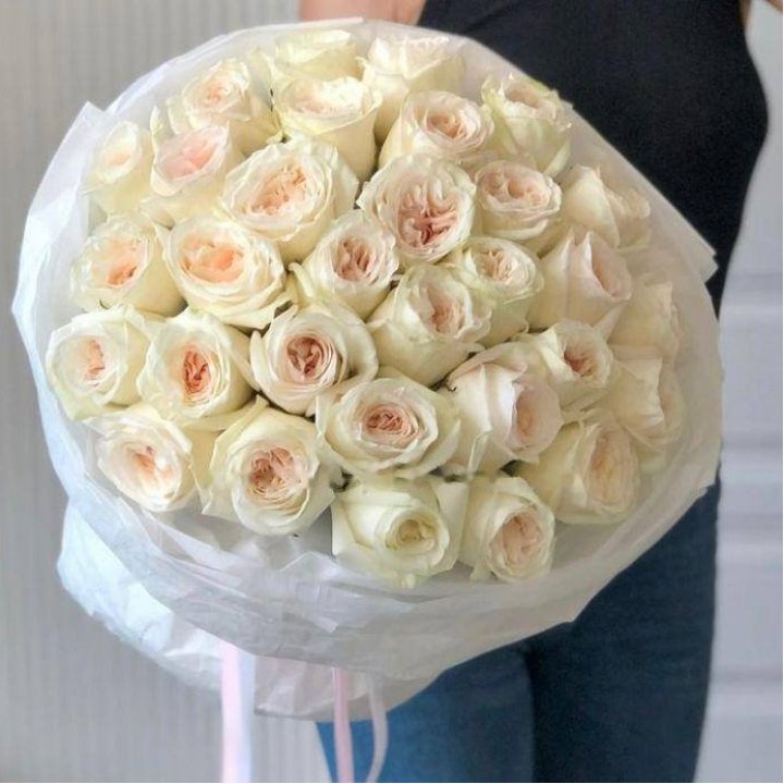 35 O'Hara Roses in Fethiye