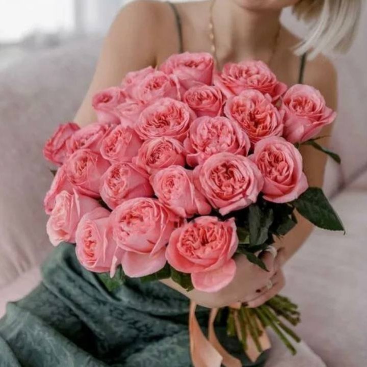 25 Pink X-Pression Roses in Baku
