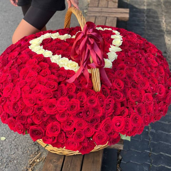 505 Roses in Bali