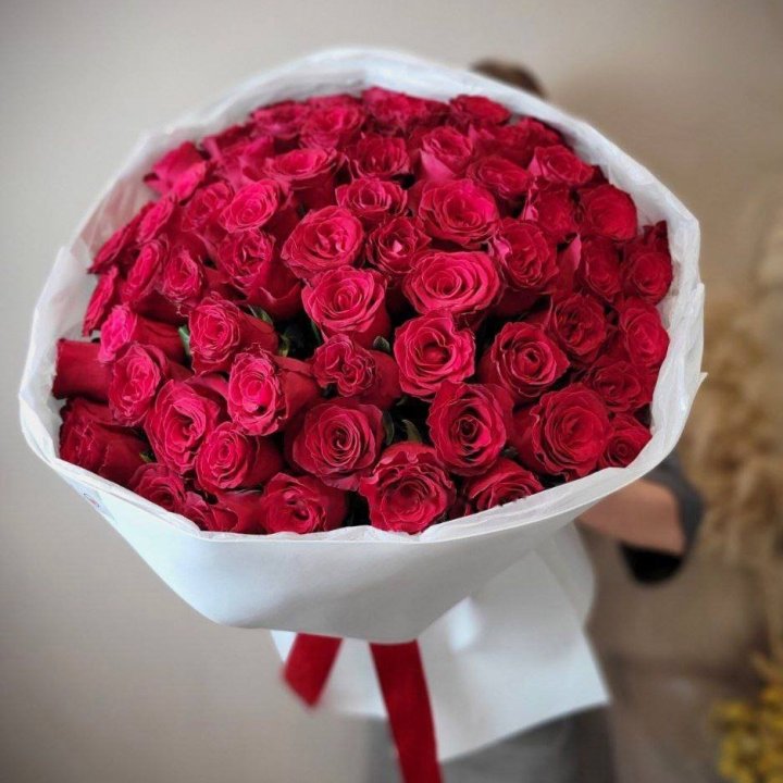 65 Red Roses White in Geneva