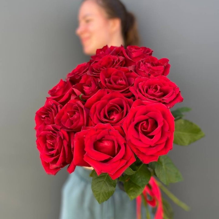 15 Red Roses with Ribbon in Dubai