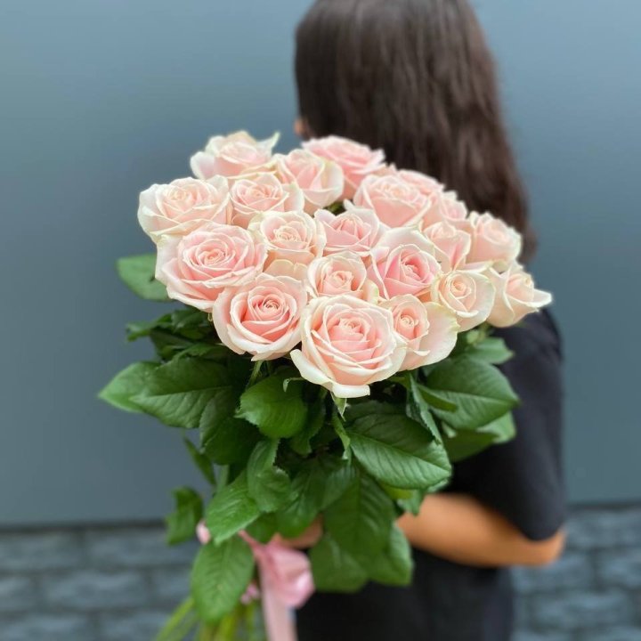 Tall Pink Roses in Amsterdam