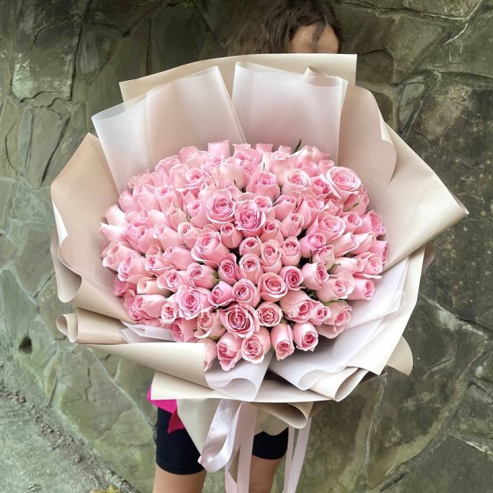 101 Soft Pink Karolina Roses in Shanghai
